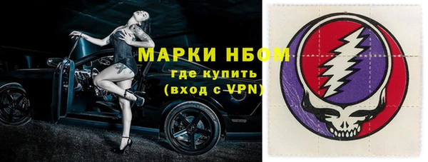 прущие грибы Волоколамск