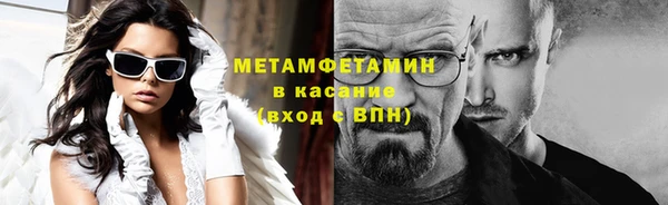 прущие грибы Волоколамск