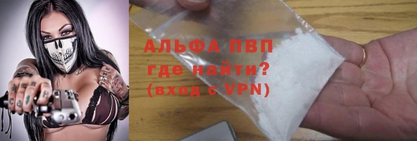 прущие грибы Волоколамск
