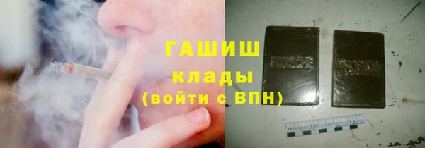 прущие грибы Волоколамск