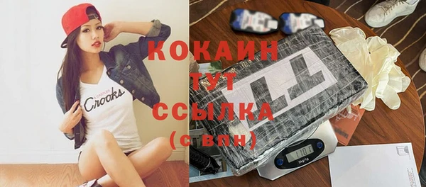 прущие грибы Волоколамск