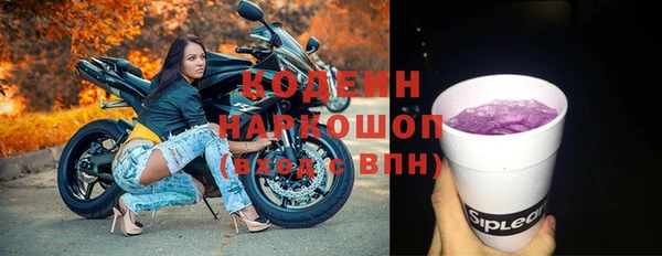 прущие грибы Волоколамск