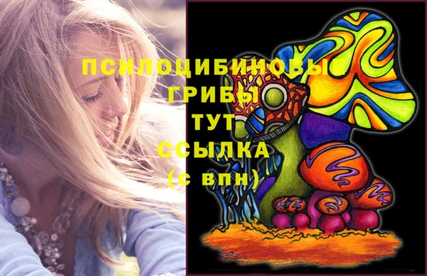 Альфа ПВП Волосово