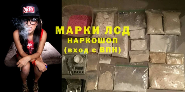 прущие грибы Волоколамск